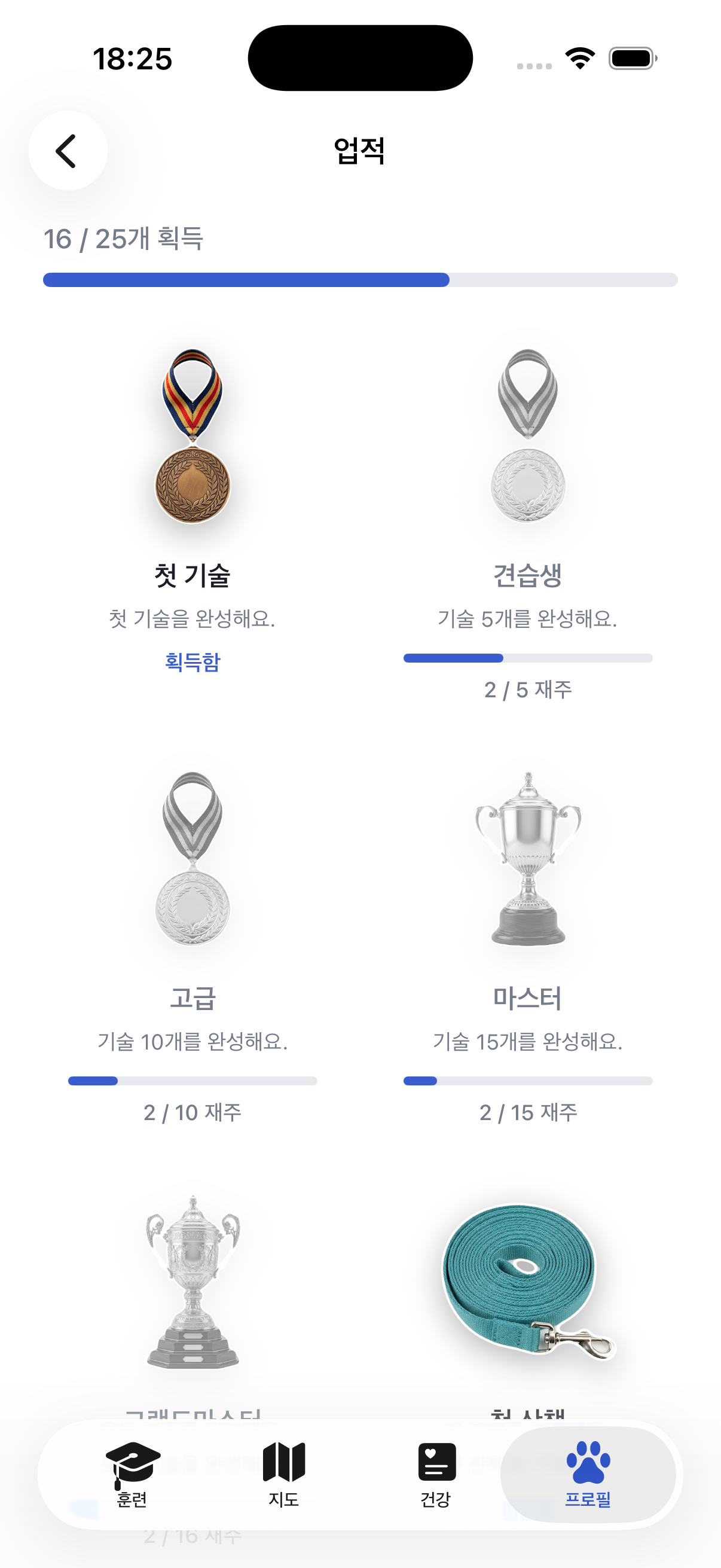 Ruffy의 업적과 연속 기록