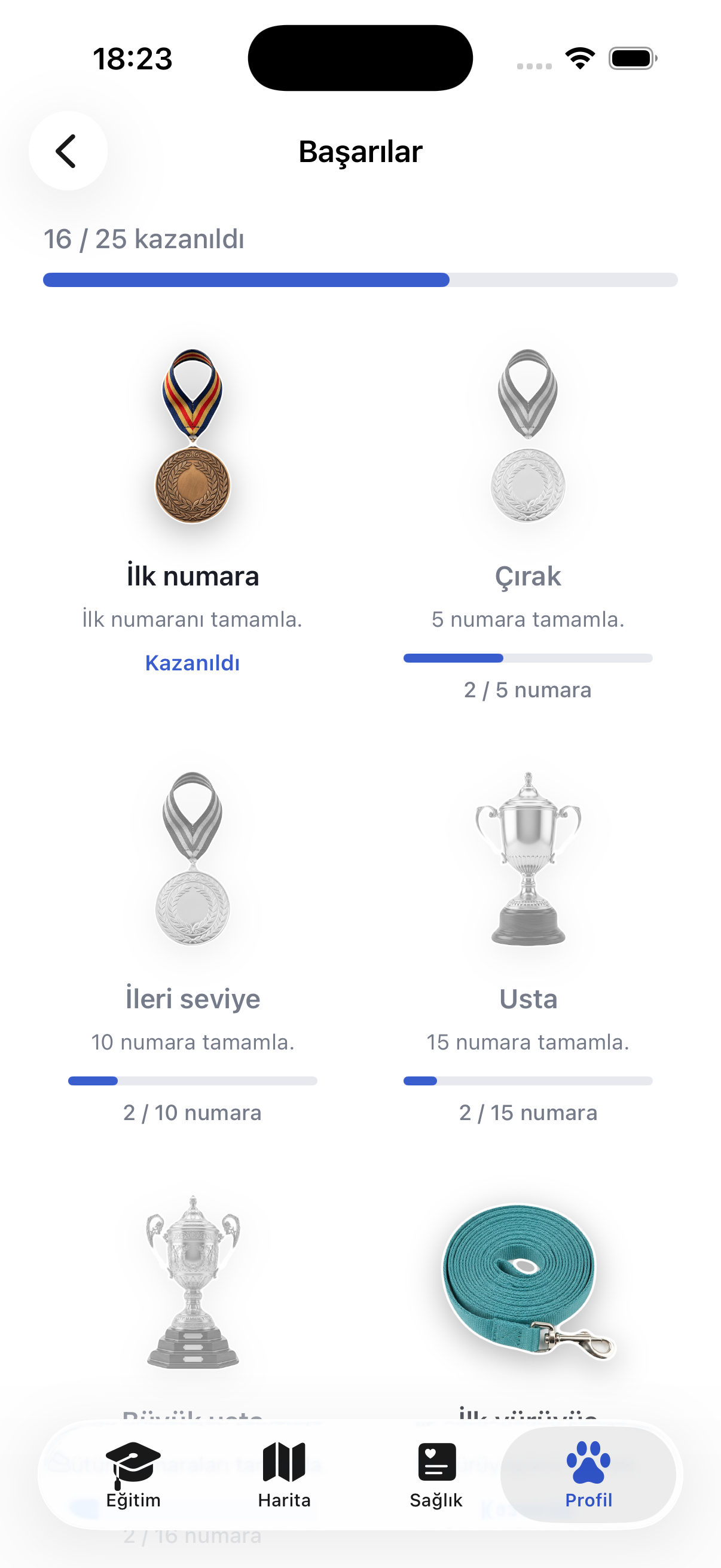 Ruffy'de başarılar ve seriler