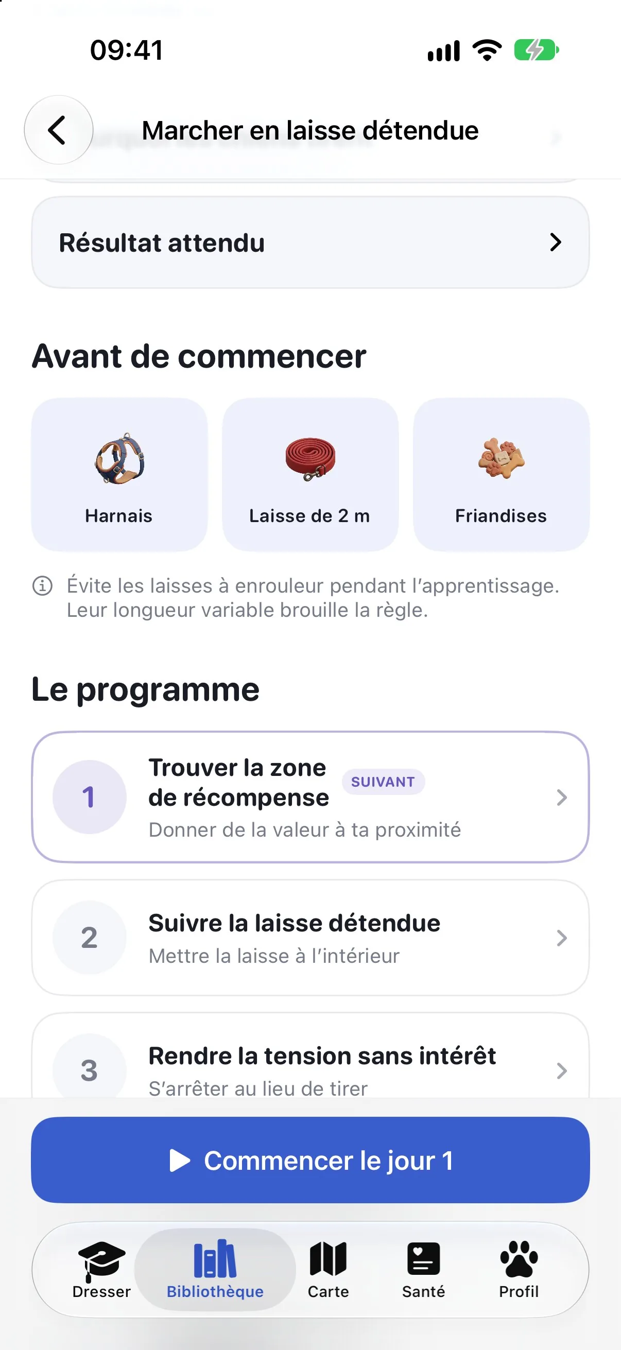 Le programme Ruffy pour marcher en laisse détendue, avec le matériel nécessaire et les premiers jours