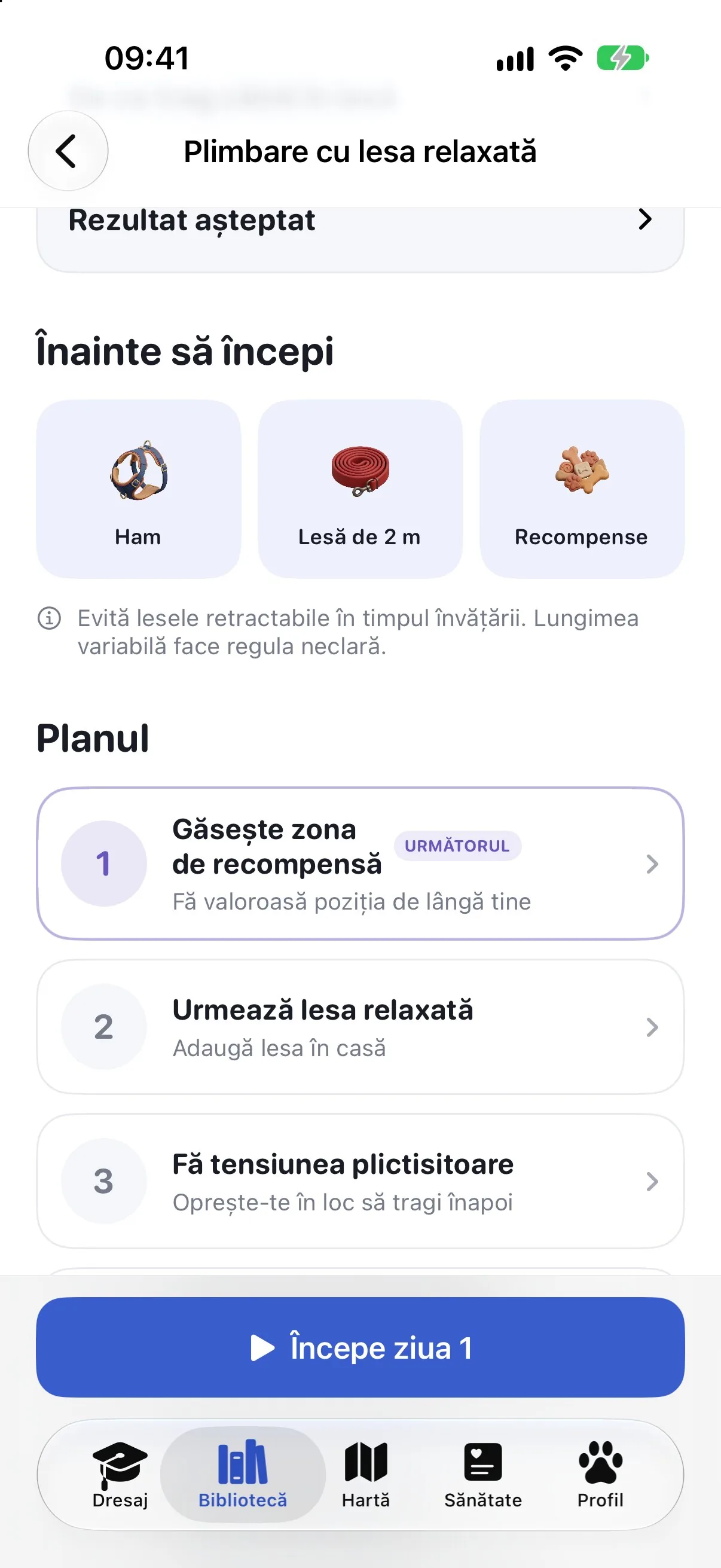 Planul Ruffy pentru plimbarea cu lesa relaxată, cu echipamentul necesar și primele zile