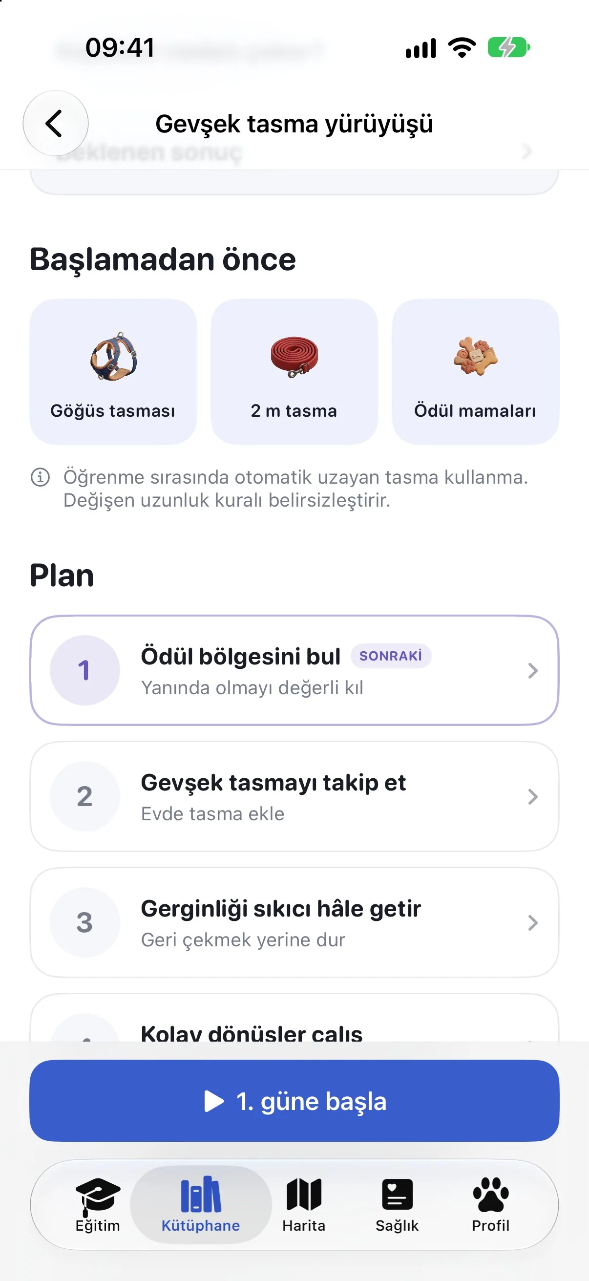 Ruffy'de gerekli ekipman ve ilk günlerle gevşek tasma yürüyüşü planı