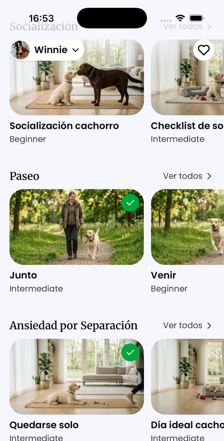 Pantalla de cursos de Ruffy