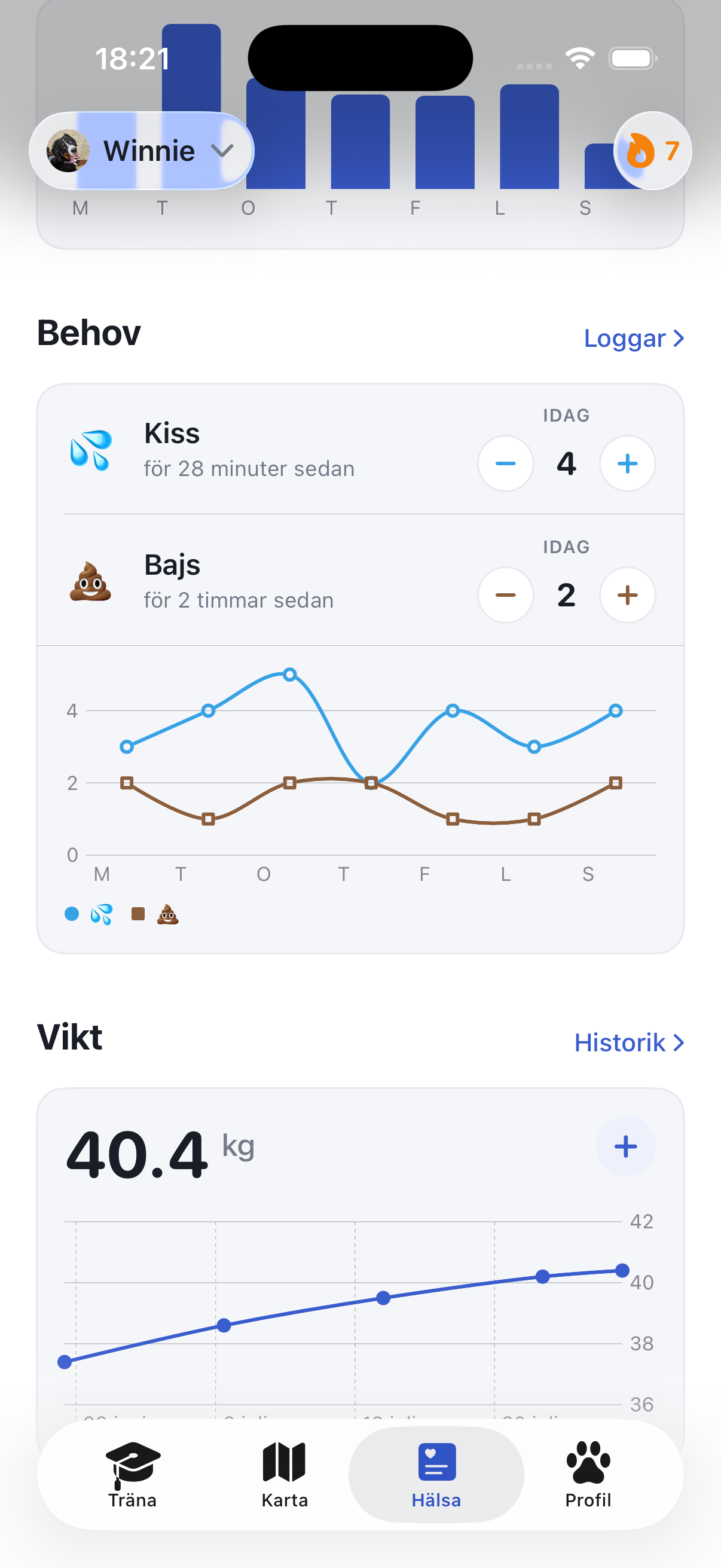 Hälsovyn i Ruffy med vikt och aktivitet