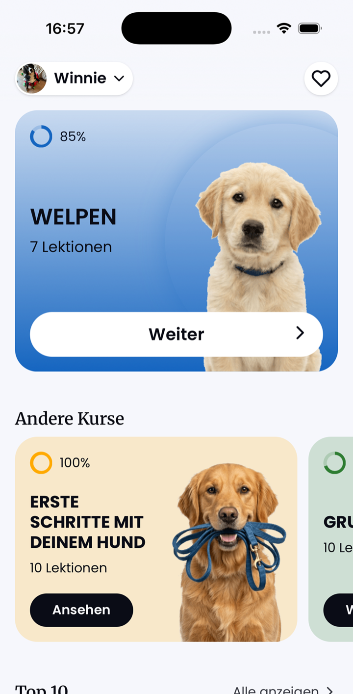 Hundetraining leicht gemacht, von zu Hause aus
