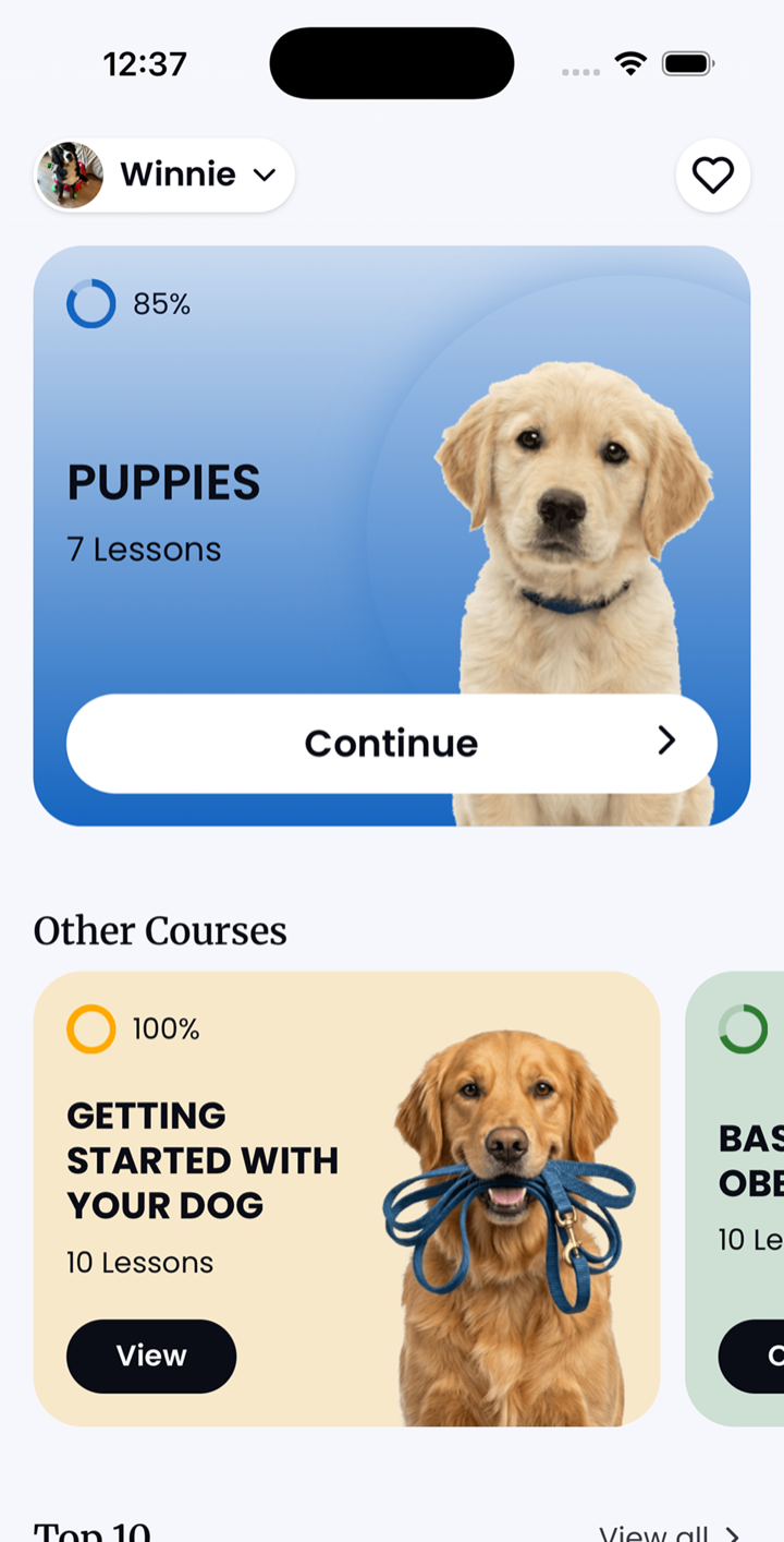 Dog & puppy training made easy, at home