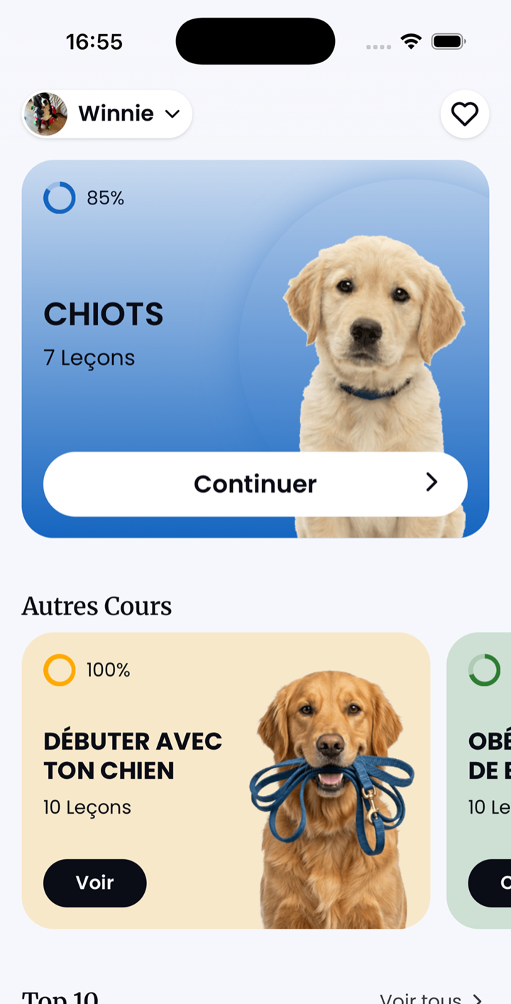 L'éducation canine en toute simplicité, à la maison