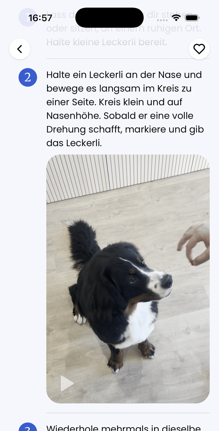 Ruffy Lektion-Bildschirm