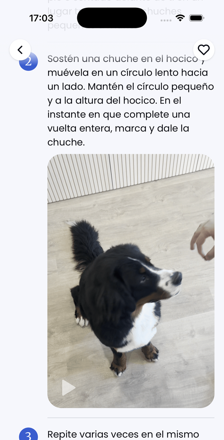 Pantalla de lección de Ruffy