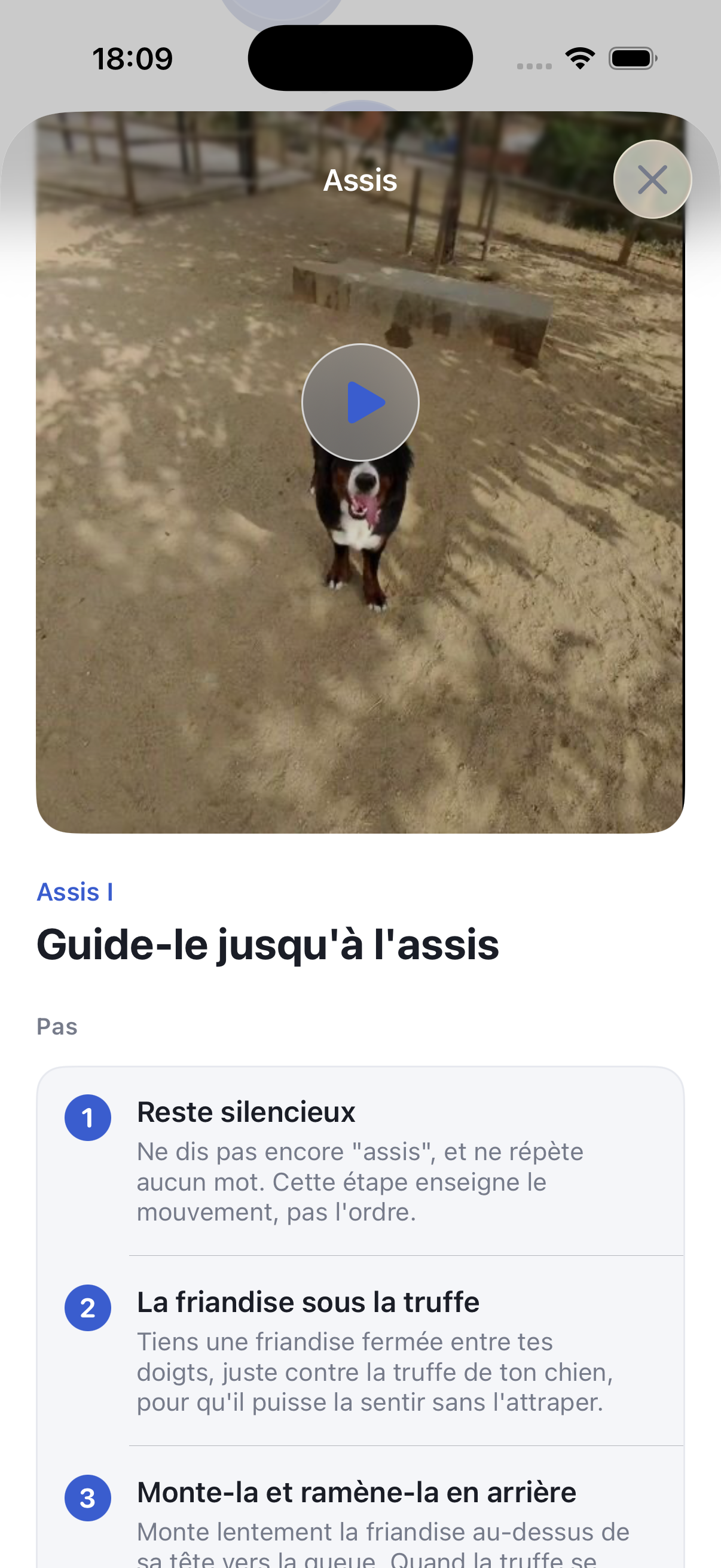 Éduque ton chien en 5 minutes par jour