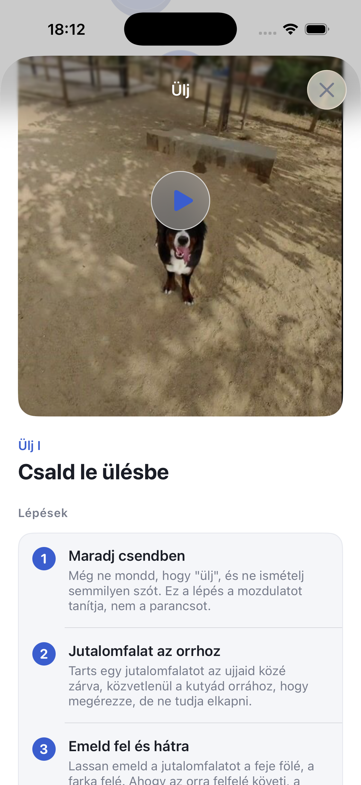 Képezd ki a kutyád napi 5 percben