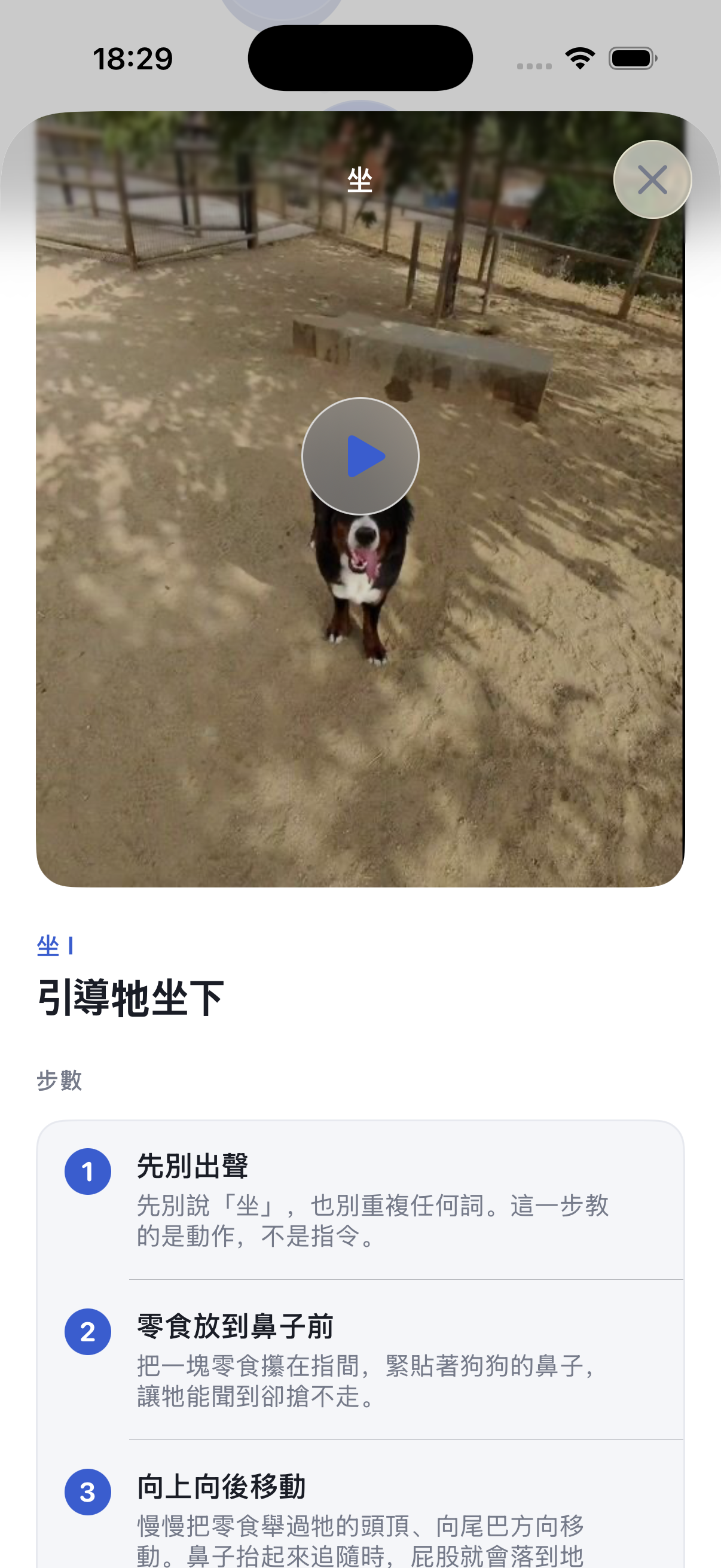 每天5分鐘，訓練你的狗狗